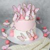 Butterfly theme cake