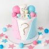 boy or girl teddy 01 cake