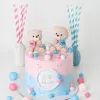 boy or girl teddy cake 02