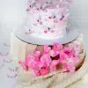 butterfly cake