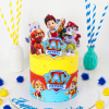 paw patrol 03 cake