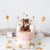 teddy stars cake