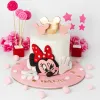 mini mouse 009 cake