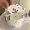 trending butterfly cake