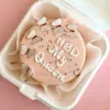 beige butterfly bento cake
