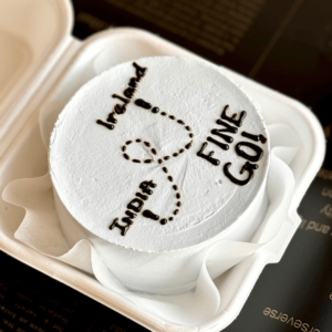 farewell flight bento cake