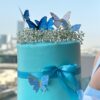 butterfly ribbon cake