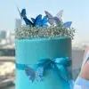 butterfly ribbon cake