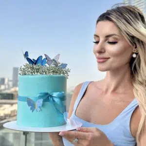 butterfly ribbon cake model