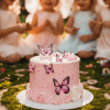 classic pink butterfly cake