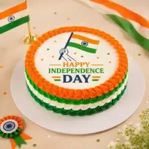 india independence flag cake